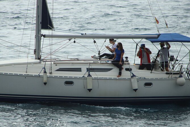 Whale & Dolphin Watching Boat Trip in Tenerife On a Sailing Boat (3 Hr) - The onboard plan: sail, search, then sightings