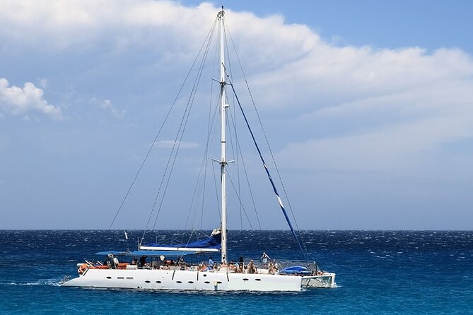 Whale & Dolphin Watching in Tenerife (Puerto Colon) On a Large Catamaran - Key Things You Should Know Before You Go