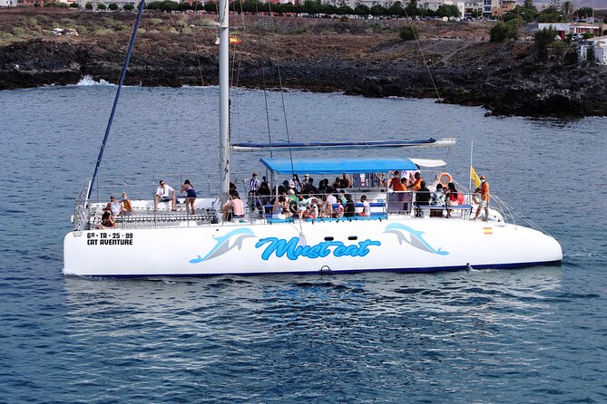 Whale & Dolphin Watching With Mustcat Virgin Coast Trip On a Large Catamaran - Who this tour is best for, and who should adjust expectations