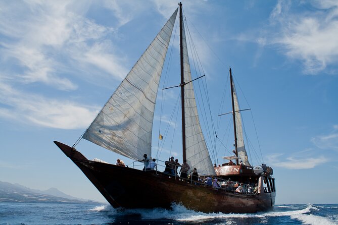 Whale Safari to Los Gigantes with pickup from North - Los Gigantes and Masca Bay: the swim-and-lunch payoff