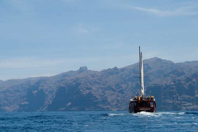 Whale Safari to Los Gigantes with pickup from North - Playa del Duque and the southwest-coast return: scenic value plus context