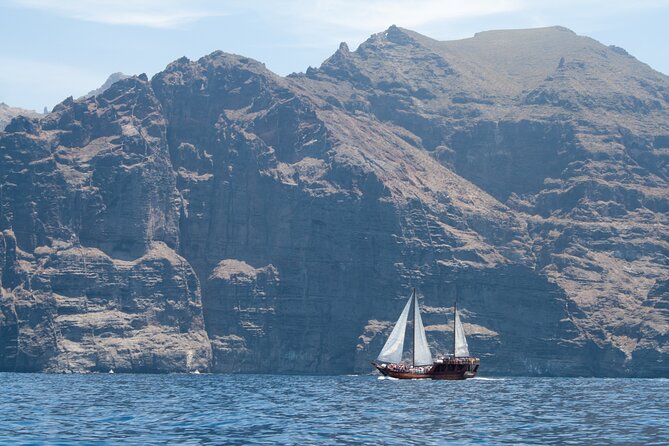 Whale Safari to Los Gigantes with pickup from North - On the Shogun: cruising time, not just a quick boat stop