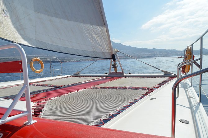 Whale Watching and Listening Eco Catamaran Tour with Food Tasting - Key highlights worth clocking