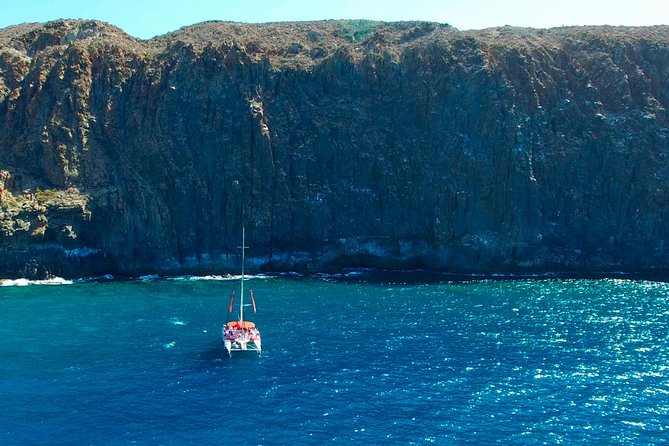 Whale Watching and Listening Eco Catamaran Tour with Food Tasting - Whale watching in Tenerife without the rush