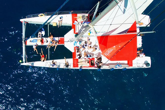 Whale Watching and Listening Eco Catamaran Tour with Food Tasting - Drinks, snacks, and the onboard rhythm