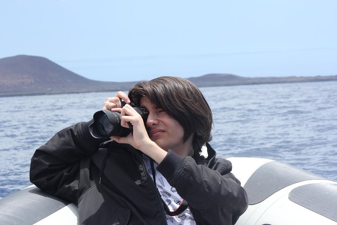Whale Watching and Marine Science Tour - What you might see at sea: whales, dolphins, and turtles