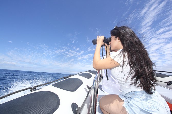 Whale Watching and Marine Science Tour - Price and value: $90.70 for a guided, capped-group science cruise