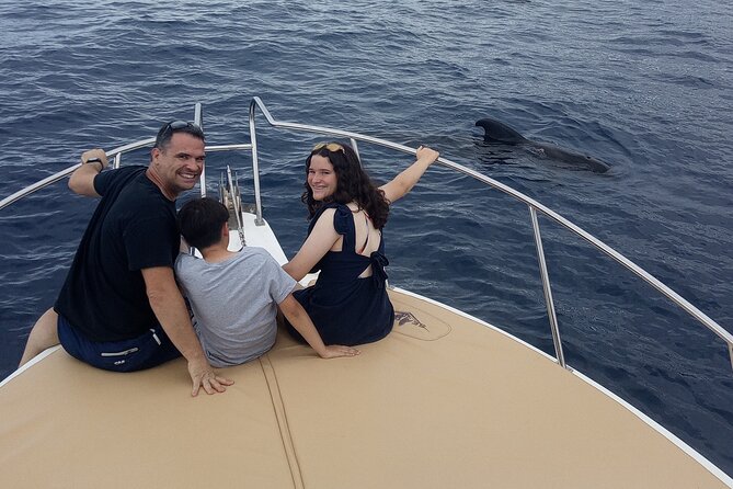 Whale watching and snorkelling in the whale sanctuary - The “whale sanctuary” search off La Gomera, and why they move through depths