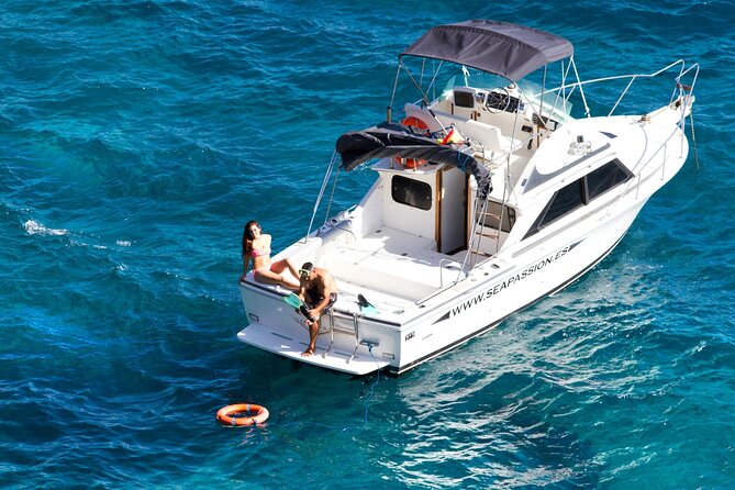 Whale watching and snorkelling in the whale sanctuary - Who should book this Tenerife whale watching trip?