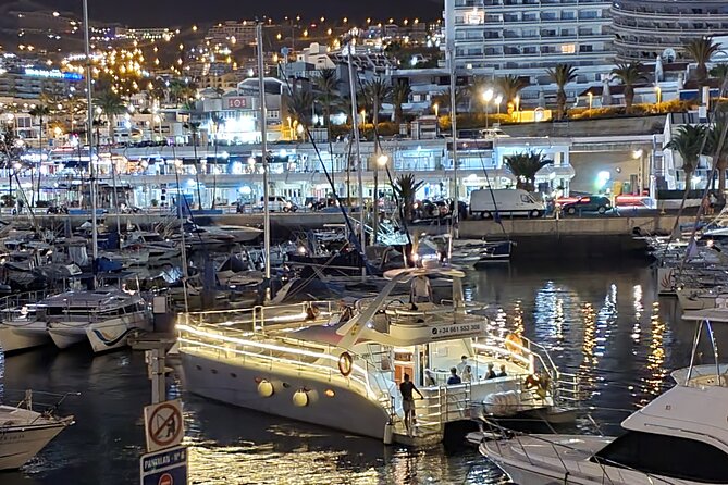 Whale Watching Catamaran Cruise with Transfer, Buffet by MC - Who This Tour Fits Best