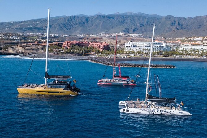 Whale Watching Catamaran in Costa Adeje (Including drinks & Sandwich) - The parts people forget: photos, onboard sales, and extra charges