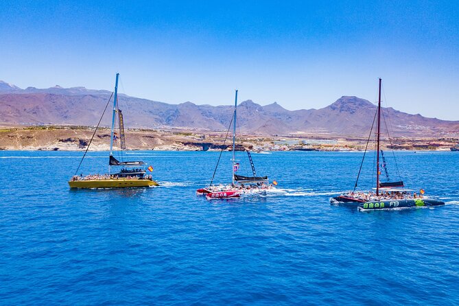 Whale Watching Catamaran in Costa Adeje (Including drinks & Sandwich) - Comfort tips for Tenerife wind and sea conditions