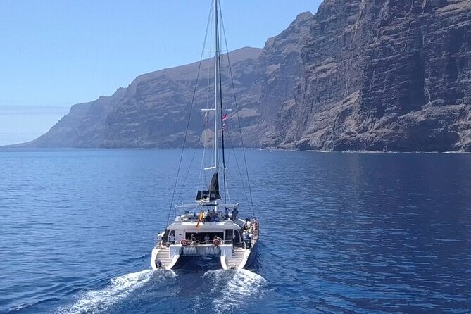 Whale Watching Catamaran to Los Gigantes & Masca (Including drinks & warm lunch) - Key highlights worth your attention