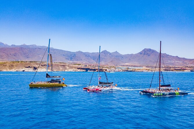 Whale Watching Catamaran to Los Gigantes & Masca (Including drinks & warm lunch) - Los Gigantes cliffs and Barranco de Masca coast viewing time