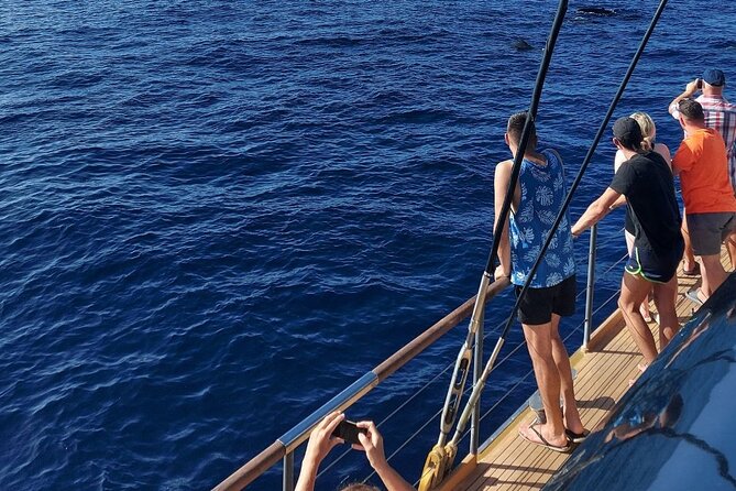 Whale Watching Catamaran to Los Gigantes & Masca (Including drinks & warm lunch) - Relaxing on deck, sun beds, and where to sit for comfort