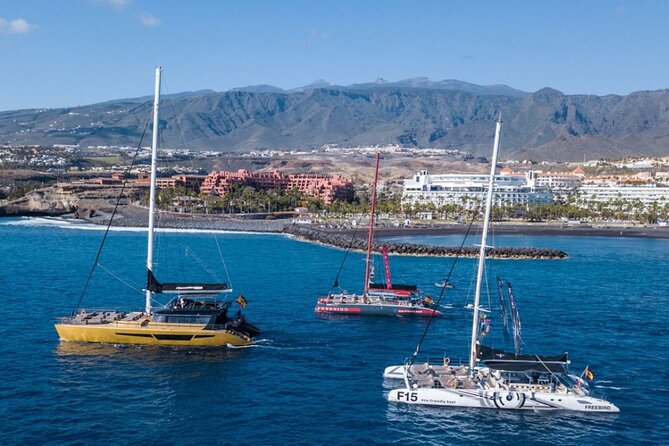 Whale Watching Catamaran to Los Gigantes & Masca (Including drinks & warm lunch) - Getting to the meeting point, and how pickup actually works