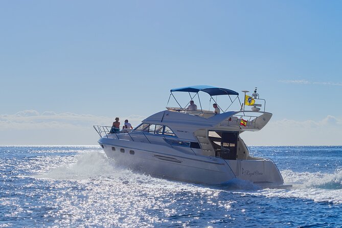 Whales and Dolphins excursion on a Luxury Yacht in Canary Islands - Key things to love about this Tenerife yacht trip