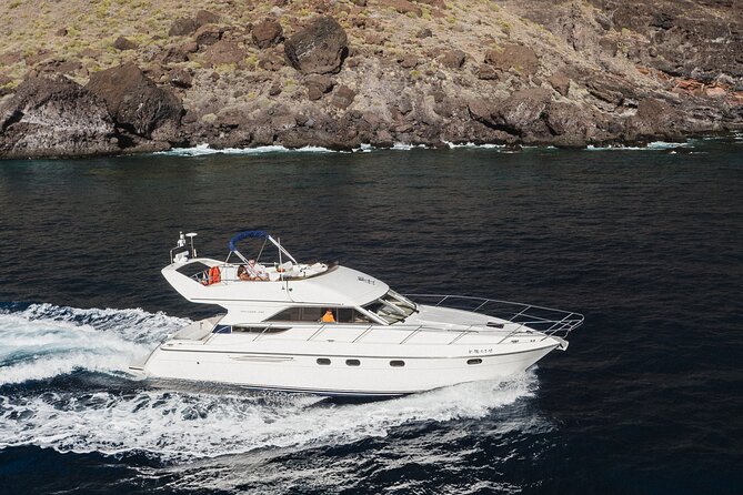 Whales and Dolphins excursion on a Luxury Yacht in Canary Islands - Entering The Yacht Day: Meeting at Las Galletas, with pickup if you want it