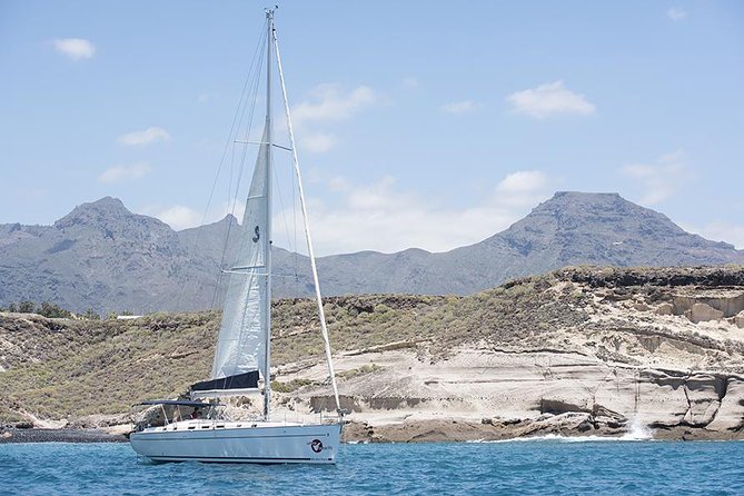 Whales & Dolphins watching in exclusive sailboat - Stop time for whales and dolphins: how the crew keeps it respectful