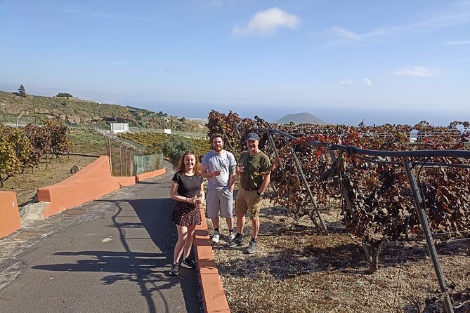 Wine, Canarian Tapas, Culture, VIP Private tour - photos included - Stop 2, Pino Gordo: the Fat Pine with photo-perfect presence