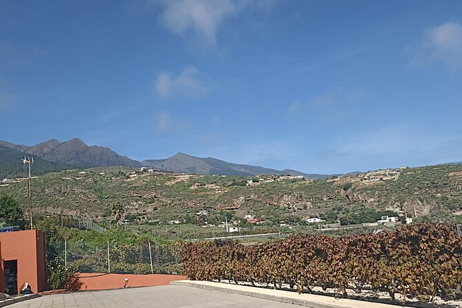 Wine, Canarian Tapas, Culture, VIP Private tour - photos included - Stop 3, Vilaflor village at 1,400 meters: old church, old houses, fresh air