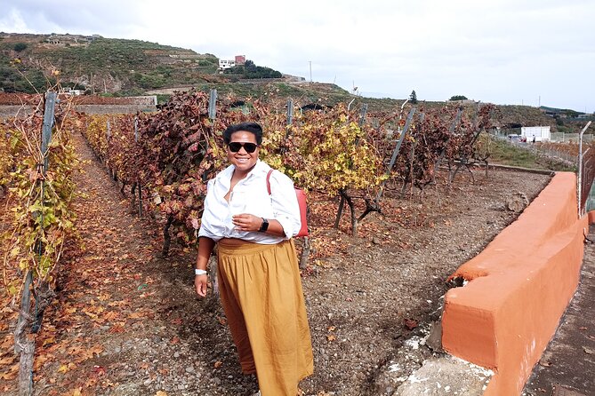 Wine, Canarian Tapas, Culture, VIP Private tour - photos included - Stop 5, optional Canarian lunch in Candelaria