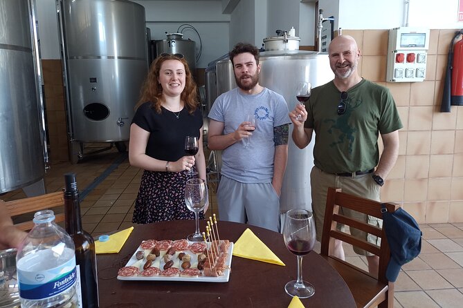 Wine, Canarian Tapas, Culture, VIP Private tour - photos included - Stop 1, Vilaflor winery: vineyard views plus Canarian tapas