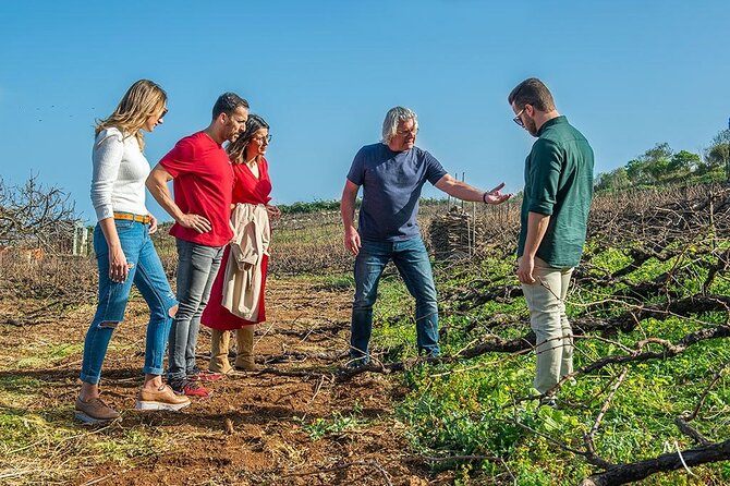 Winery Tour and Tasting in Tenerife with the Sommelier - How This Tenerife Sommelier Tour Fits Real Wine Days