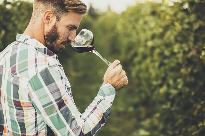 Winery Tour and Tasting in Tenerife with the Sommelier - Inside a Family Winery Visit With Sea Views