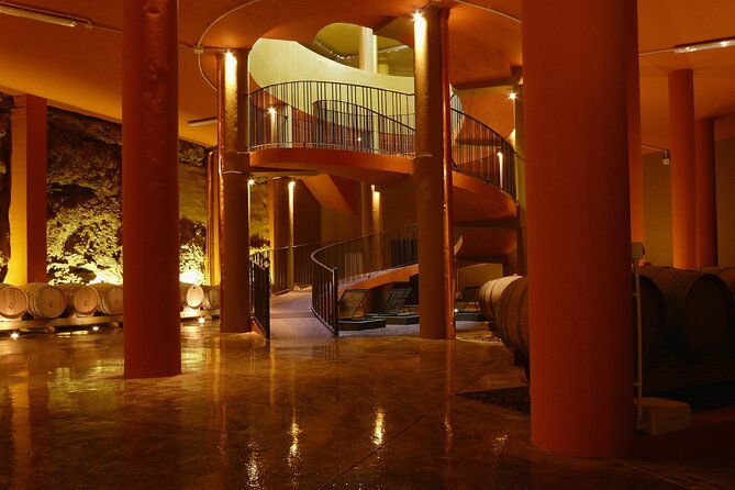 Winery Tour and Tasting in Tenerife with the Sommelier - What the Best Reviews Point to (and What You Should Expect)