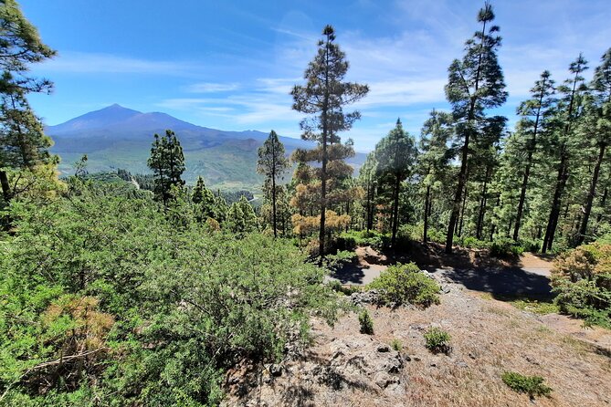 Wonderful hike through the Magic Forest of Tenerife - Stop-by-stop: how Natural Park of Teno unfolds on foot
