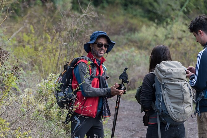 Wonderful hike through the Magic Forest of Tenerife - Weather and packing: small choices that make the hike easier